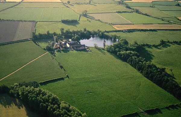 Английская гравюра 18 века. Аграрный сектор англии 19 век. Землевладение в англии. Аграрное хозяйство франции 18 век. Поместное землевладение это.