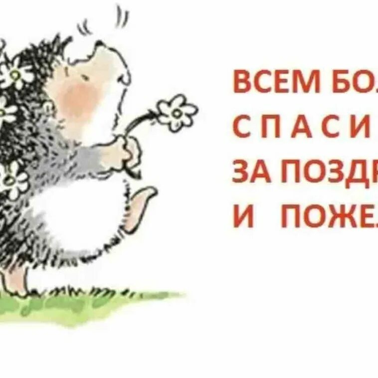Как с юмором ответить на поздравление. Как с юмором ответить на поздравление