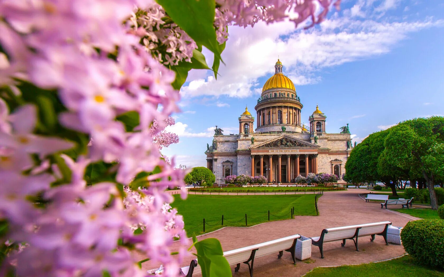 Фото санкт петербурга летом