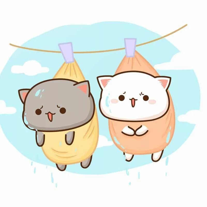 Лп кот. Кавайные котики. кавайные котята. милые котики мультяшные. милые котики кавай.