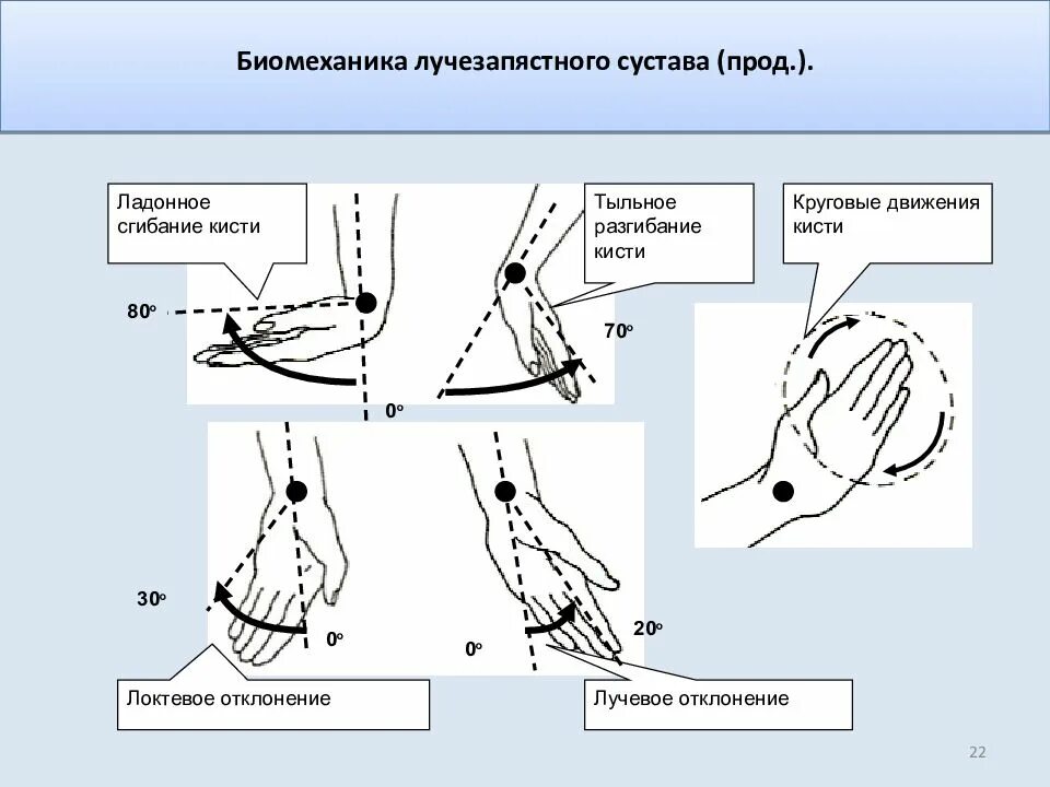 Патологические движения в суставах. Объем движений в лучезапястном суставе. физиологический угол разгибания лучезапястного сустава. движения кисти в лучезапястном суставе. биомеханизм движения локтевого сустава.