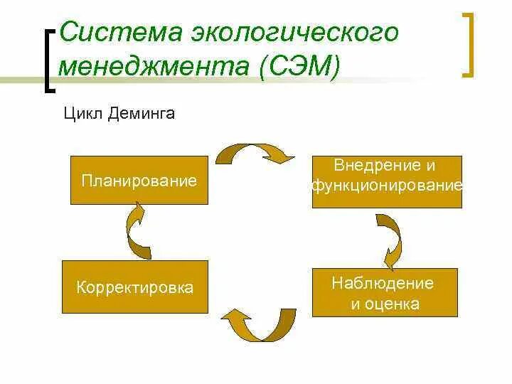 Организация экологического менеджмента. Система экологического менеджмента (Сэм). Схема внедрения системы экологического менеджмента в организации. Этапы внедрения системы экологического менеджмента. Цикл Деминга экологический менеджмент.