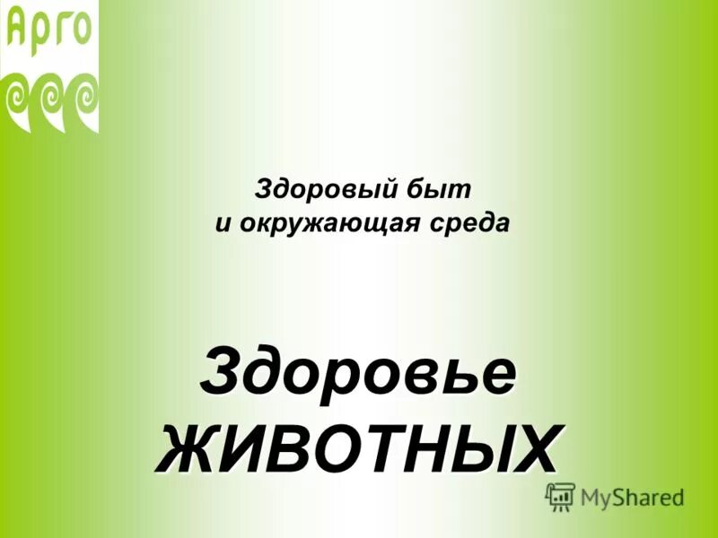 окружающая среда и здоровье животных. окружающая среда и здоровье животных. окружающая среда. здоровье зависит от экологии. окружающая среда и здоровье животных.