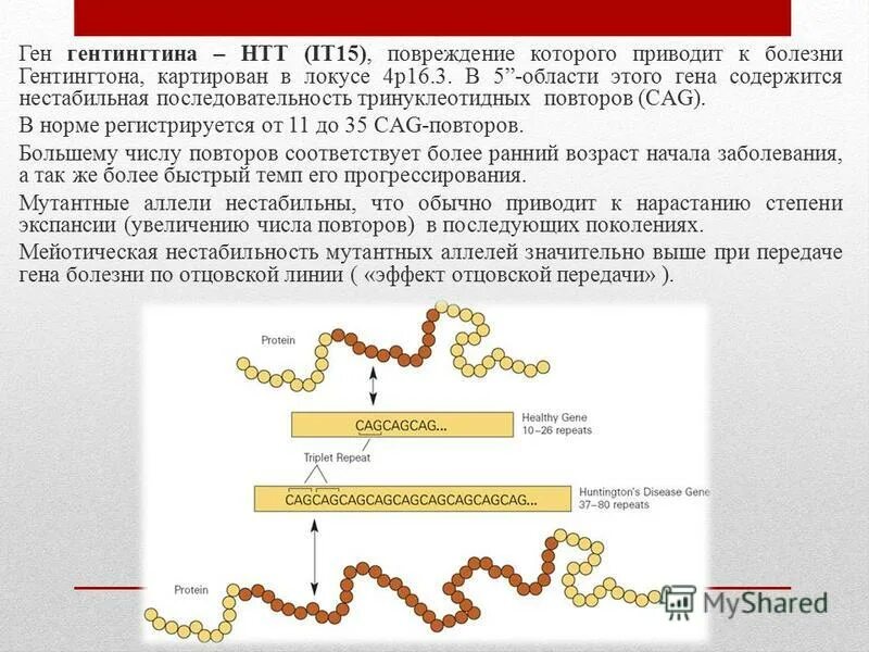 Ген заболел