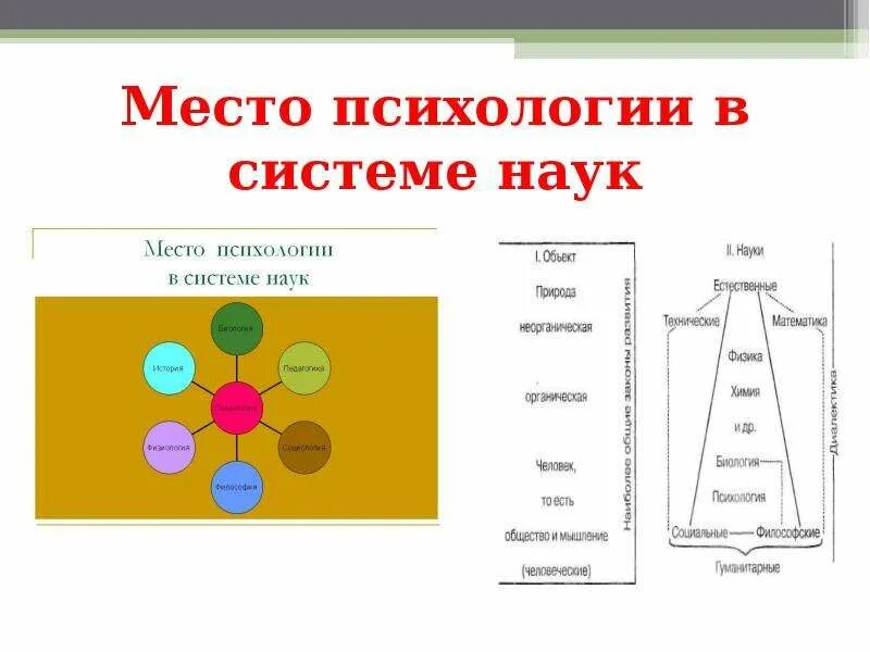 Психология в системе научных знаний. Место психологии в системе наук. Психология в системе наук схема. Место психологии в системе наук схема. Место социальной психологии в структуре наук.