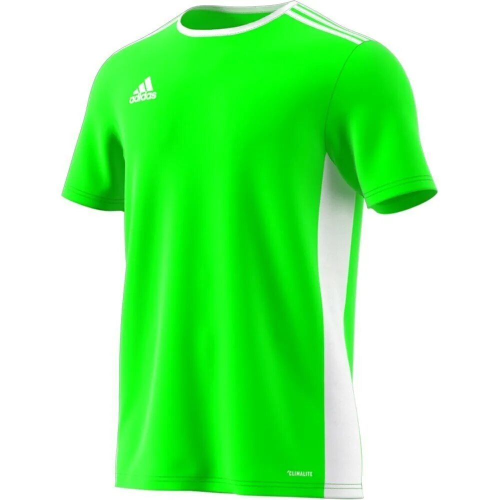 Футболка адидас condivo 20. Майки мужские спортивные адидас. Adidas condivo 20 jersey. Майка адидас белая мужская. Футболка адидас entrada.