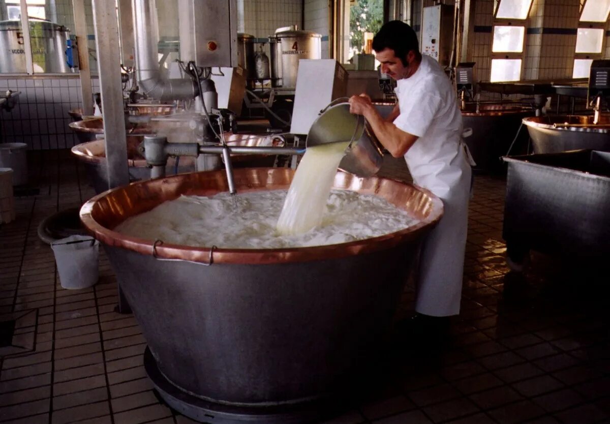 Сырный завод камское устье. Сыроварня 200л. Сыроварня молоко. Мрия сыроварня. Оборудование для производства сыра.