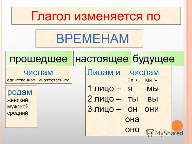 Лицо в русском языке 4 класс глагол. 3 лицо единственное число в русском языке глаголы. Лицо в русском языке 4 класс глагол. 3 лицо глагола в русском языке. Как определить лицо и число глагола.