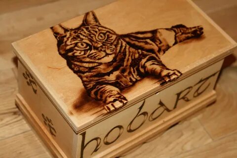 Выжига
