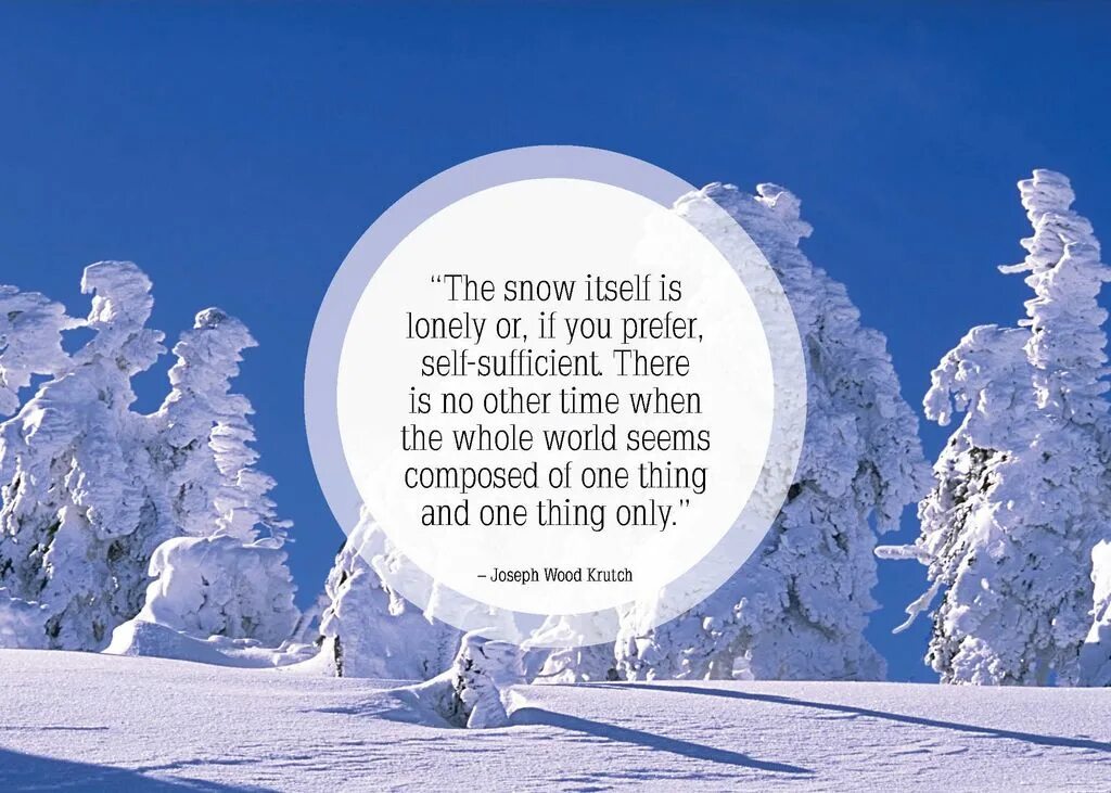 Snow words. Красивые фразы про зиму. цитаты про снег. snow quotes. красивое высказывание про зимние горы.
