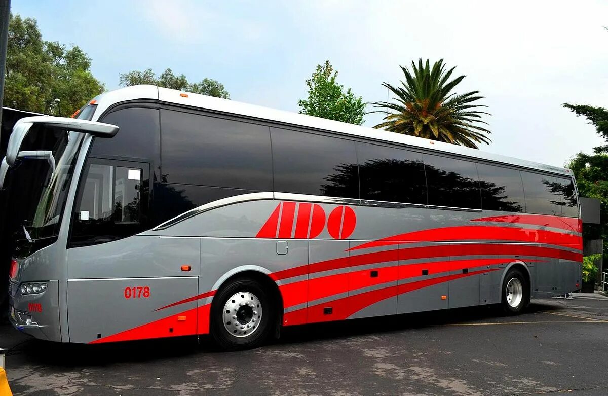 Buses it or they