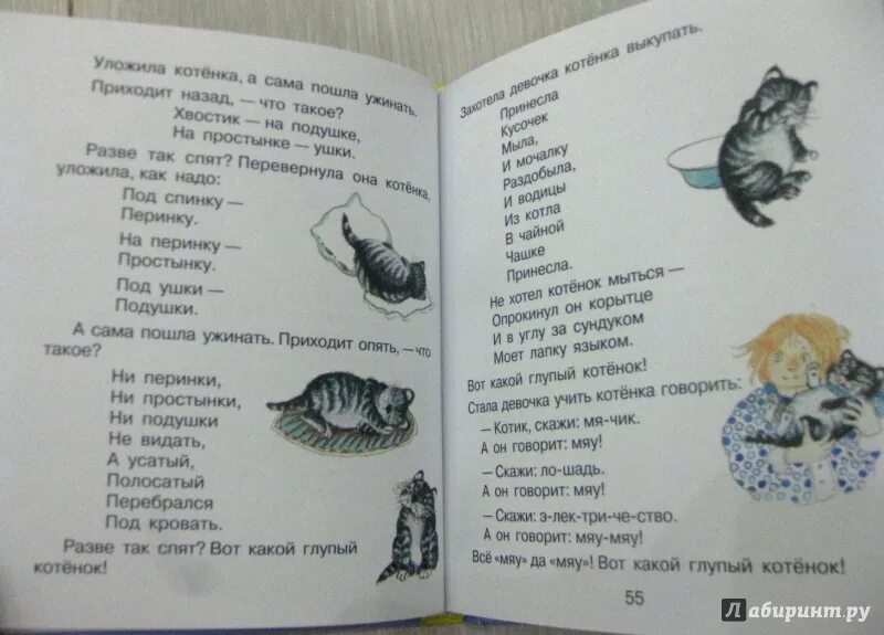 Стихи про котят. Азбука стих котята. Кошачья азбука от а до я. Стихотворение про кота. Кошачья азбука книга.