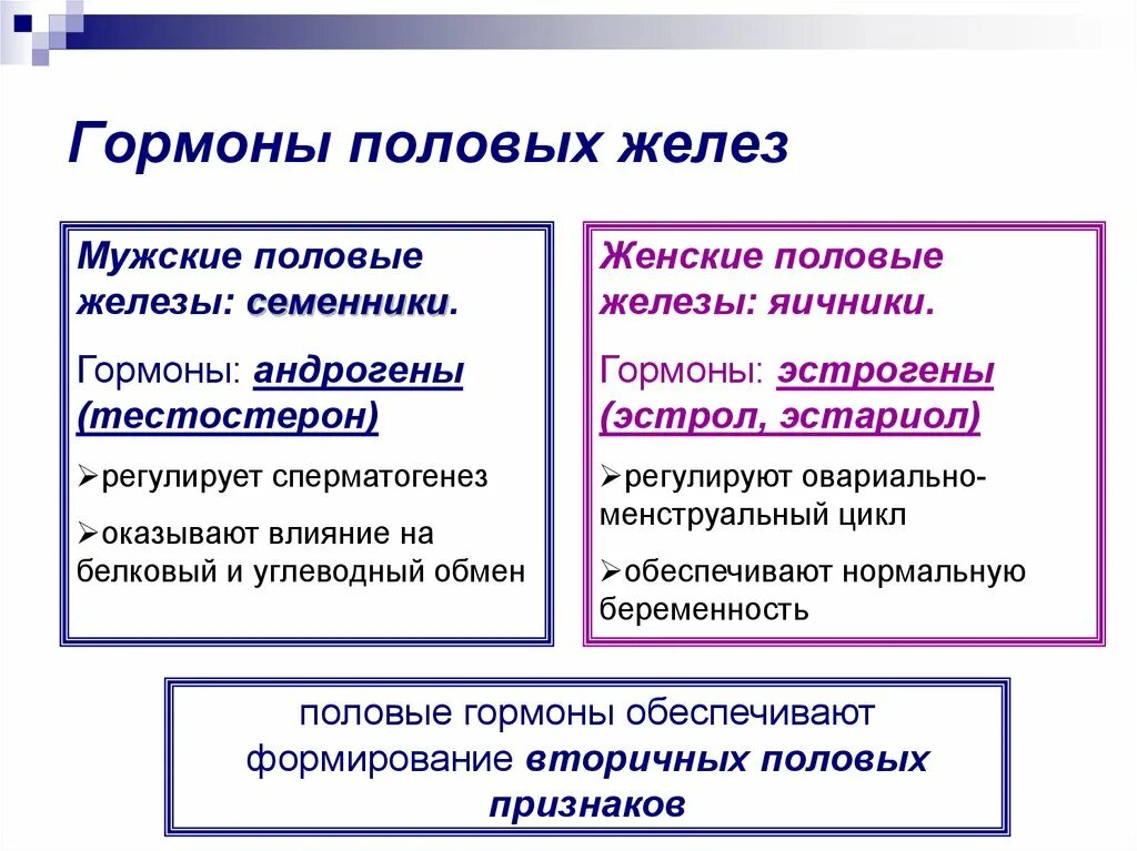 Выработка женских половых гормонов. Половые железы гормоны и функции. Гормональная функция половых желез. Половые железы, гормон, функции гормонов. Мужские и женские половые железы их гормоны и функции.