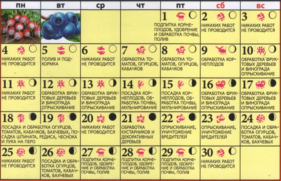 План огородника по месяцам. Лунно посевной сентябрь. Лунный календарь огородника на сентябрь 2021 года. Календарь огородника на сентябрь. Календарь садо огоодника.
