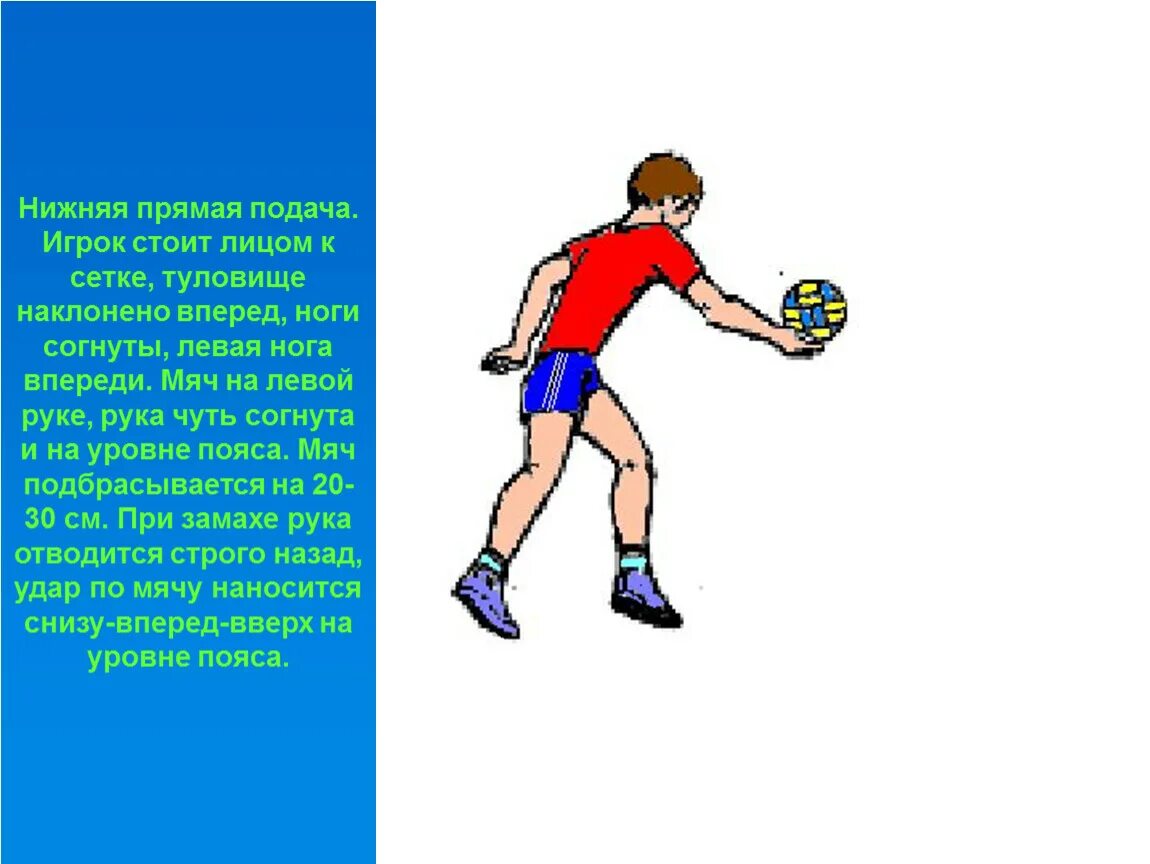 В волейболе подающий игрок подает подачу. Нижняя прямая подача. Нижняя подача мяча в волейболе. Нижняя прямая подача в волейболе. Нижняя прямая подача мяча в волейболе.