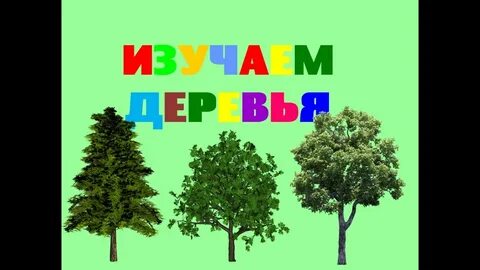 Учить дерево