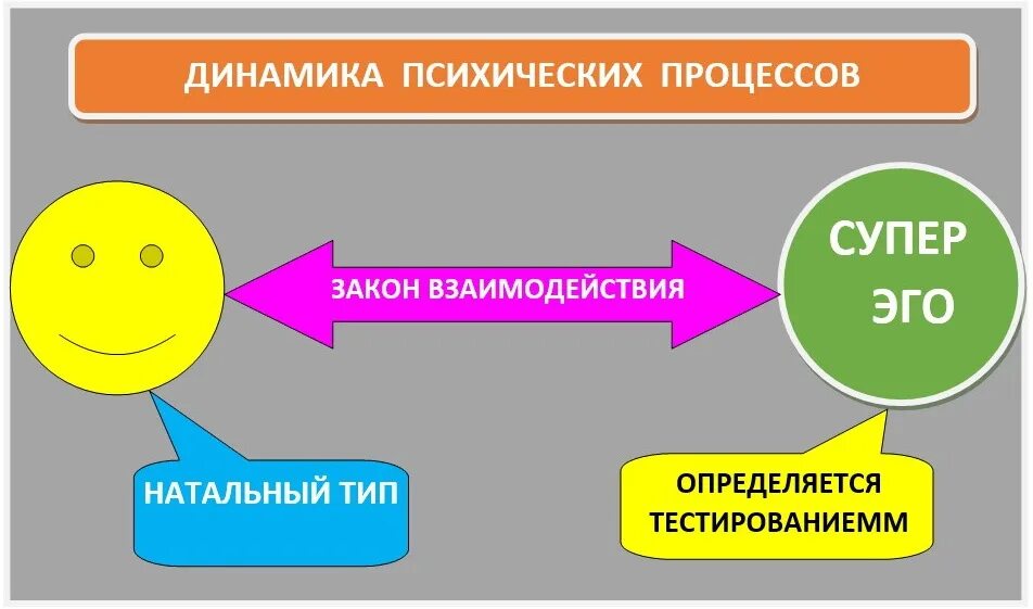 Динамикой психической деятельности человека определяют. Динамичность психики. Динамика психической жизни. Динамика в психологии. Динамику психической жизни человека определяет.