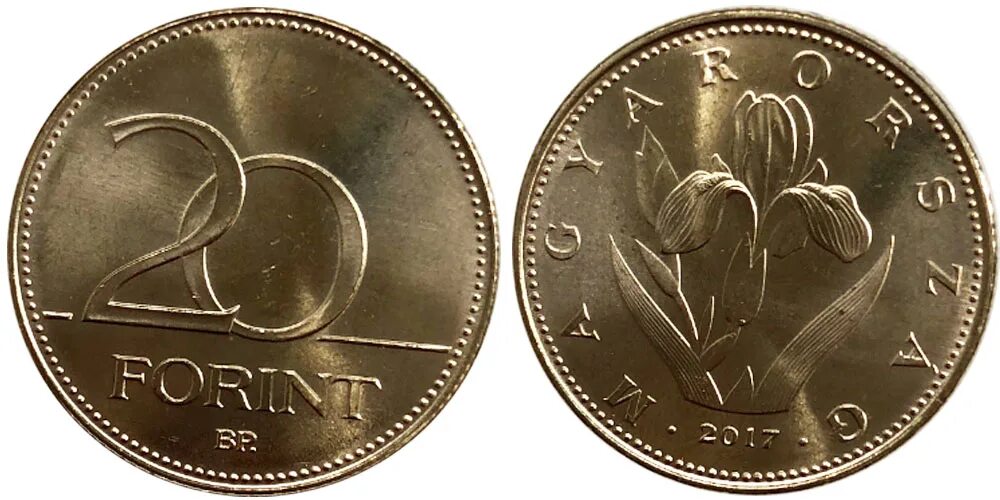 1 forint венгрия. Венгерская валюта форинт. 1 forint венгрия. Венгрия 10 форинтов, 1994. Денежная единица венгрии.