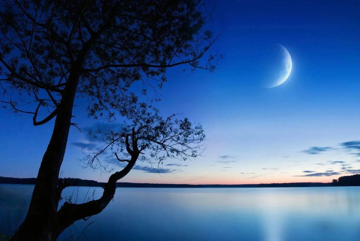 Вдали светит луна. Летняя ночь. Ночной пейзаж с месяцем. Месяц на рассвете. Лунная ночь.