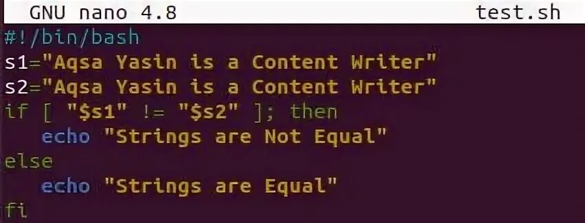 Bash выход