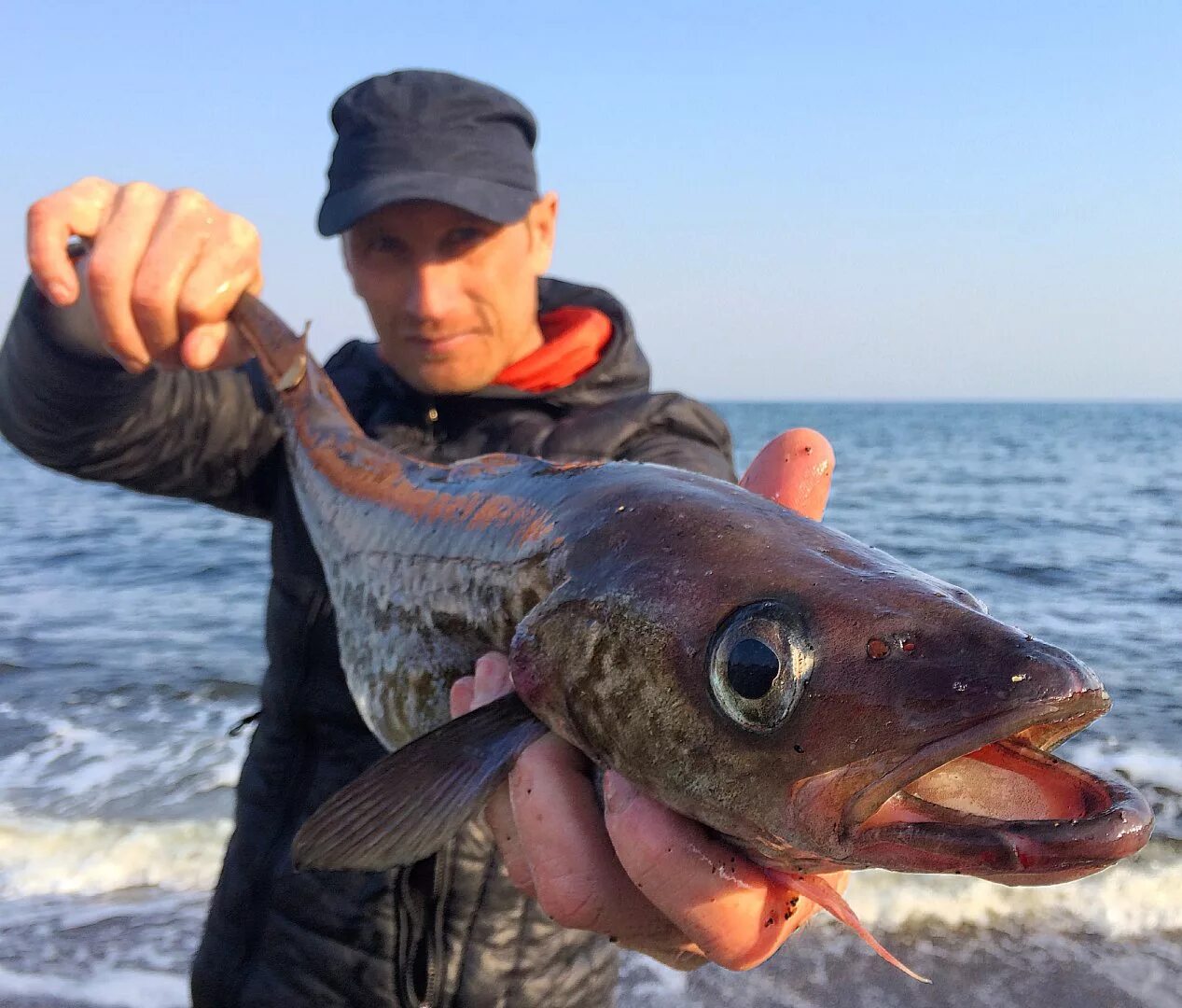 Купить рыбу во владивостоке. Рыбы Приморского края. Морская рыба Приморье. Рыба в Приморском крае морская. Рыболовство в Приморском крае.