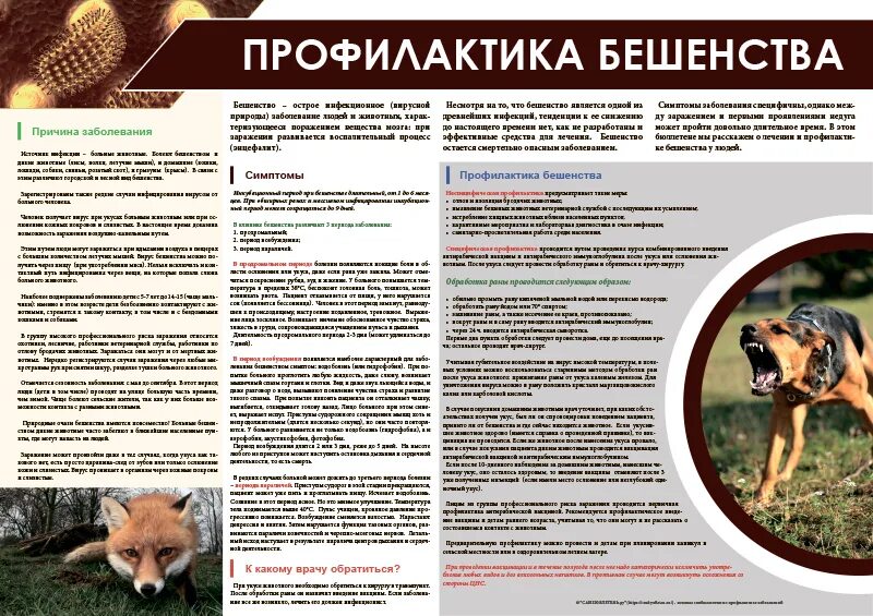 Профилактика бешенства. Санбюллетень бешенство. буклет по бешенству. буклет профилактика бешенства.