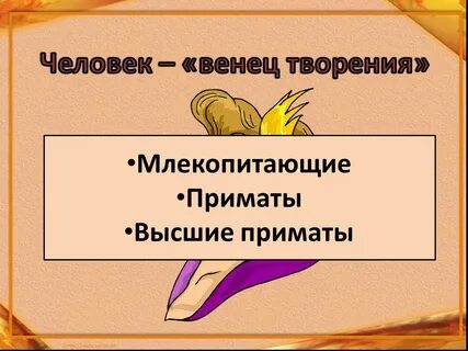 Венец творения