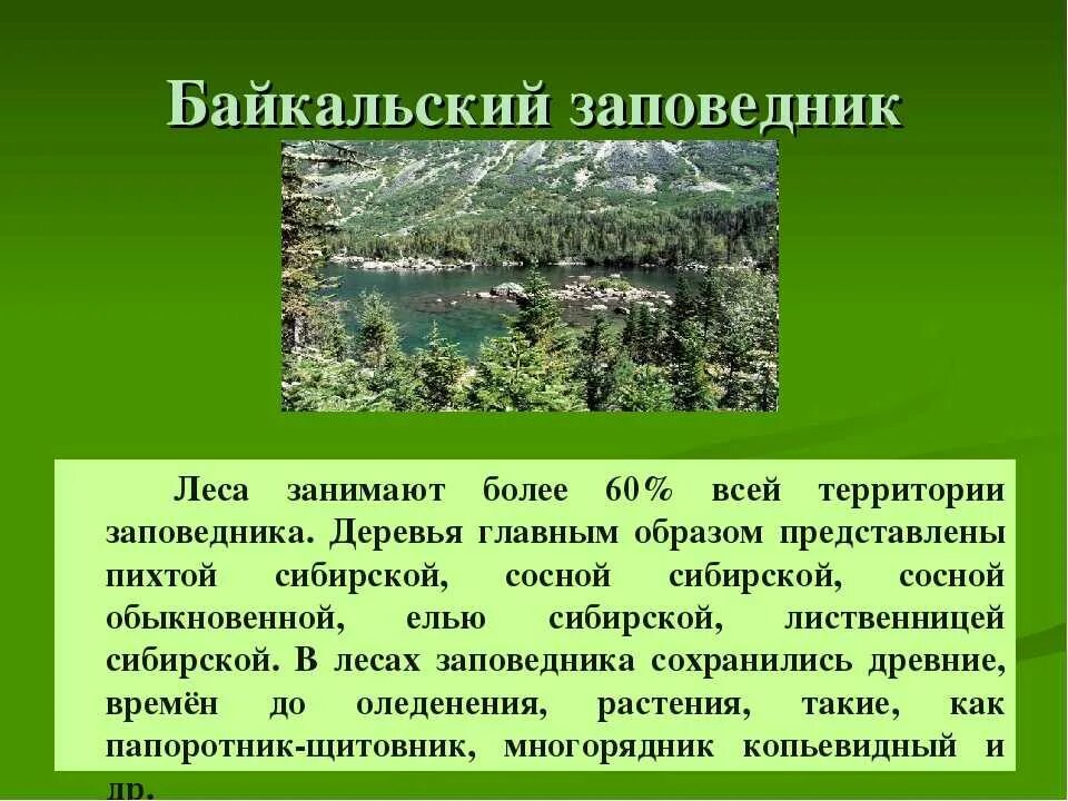 Рассказ о заповеднике. Доклад о заповеднике. Рассказ о заповеднике России. Рассказ о заповеднике России кратко. Биосферный заповедник примеры