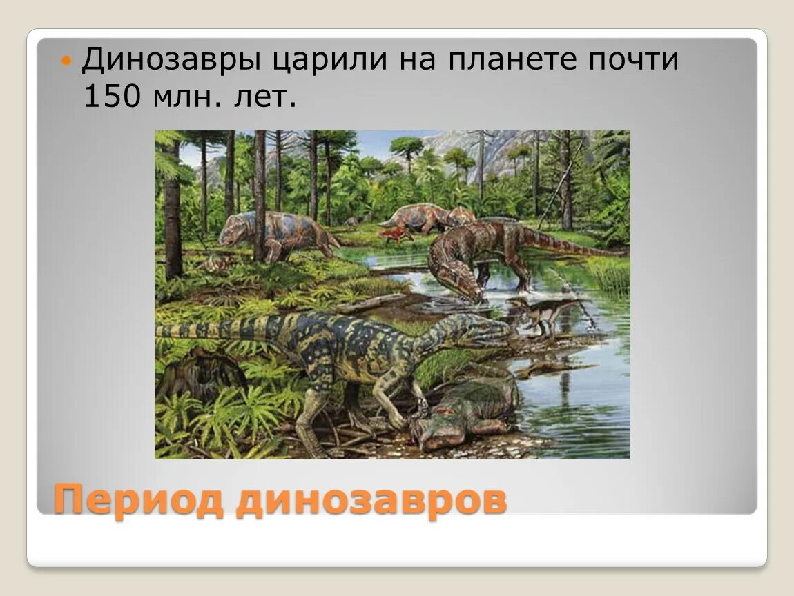 Где жили динозавры. Эпоха динозавров. Места обитания динозавров. Динозавры жили на планете.
