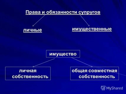 Одной или нескольких обязанностей собственника