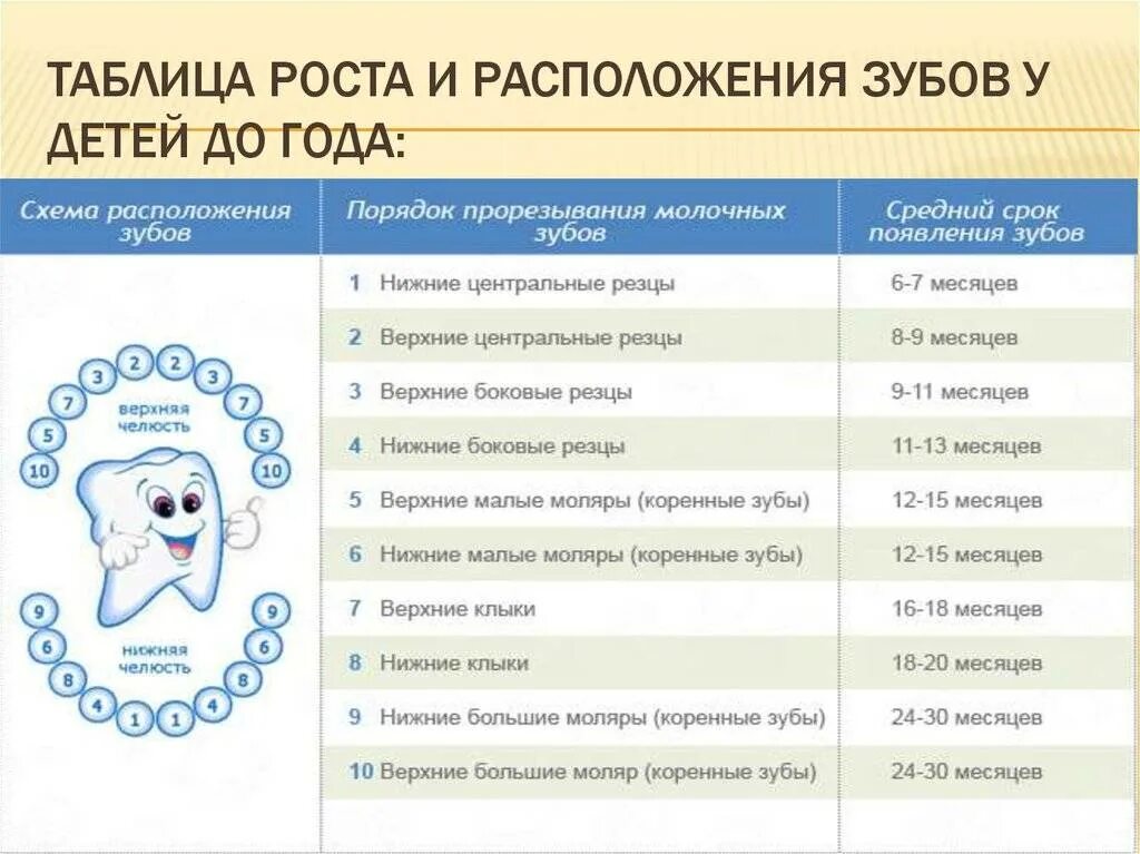 Скольки месяцев режутся зубы. Зубы у детей порядок прорезывания до года. Порядок прорезывания зубов у детей схема до года. Схема прорезывания молочных зубов у детей до 2 лет. Зубы у детей схема прорезывания до 3 лет.