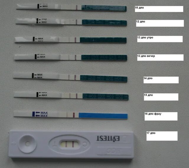 Какие тесты можно сделать. Тест на беременность на 13 день после зачатия. 13 ДПО фрау. Тест на беременность через 10 дней после овуляции. Тест после имплантации.