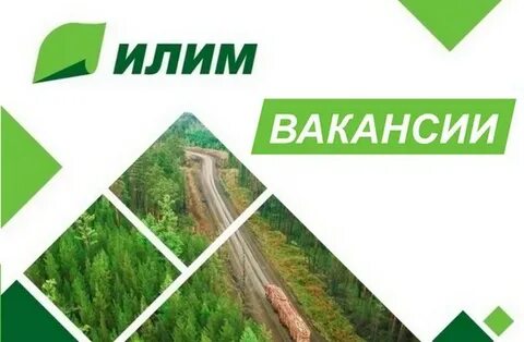 Группа илим вакансии