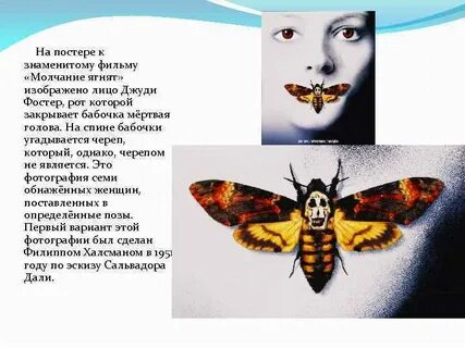 На спине бабочки нарисован желтый череп озаглавь