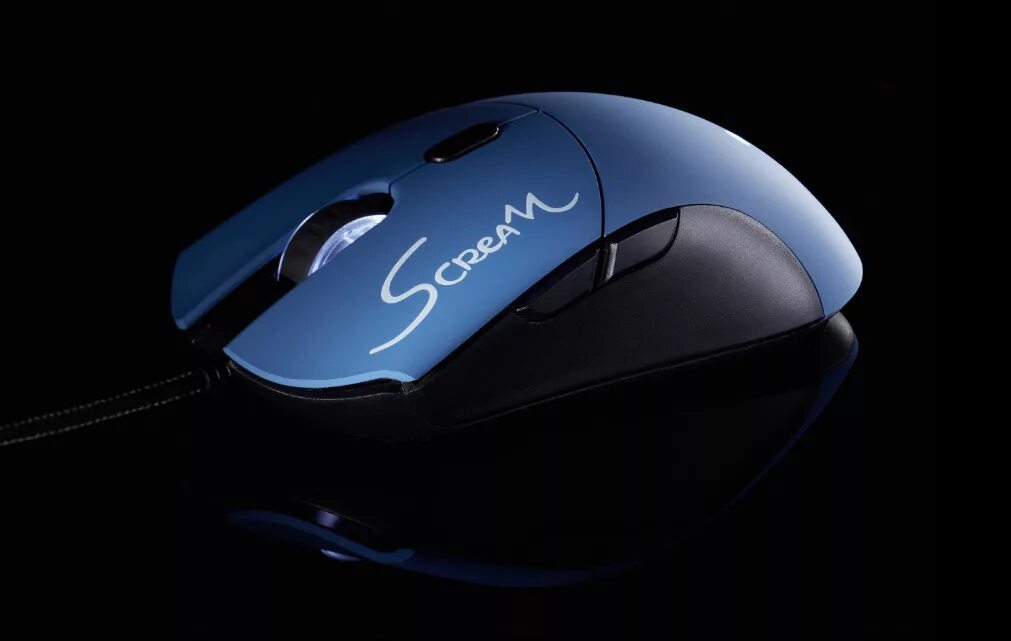 Мышь для кс го. Finalmouse classic ergo 2. мышь finalmouse. finalmouse scream one. мышь беспроводная final mouse +.
