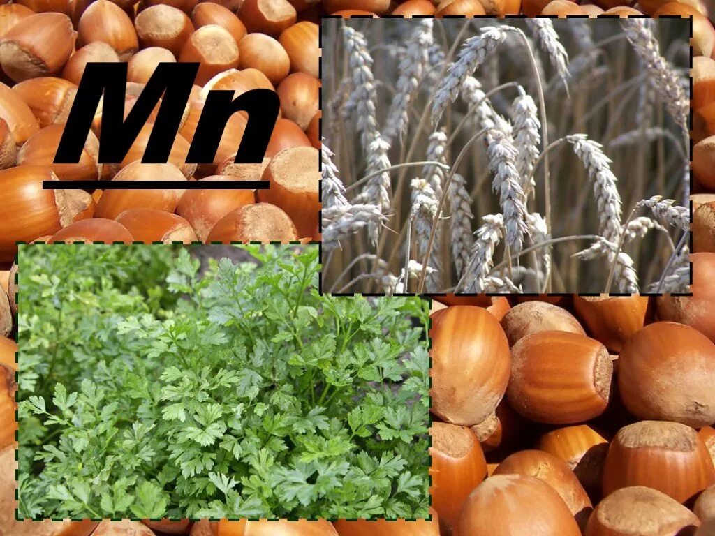 Бор микроэлемент. Алюминий микроэлемент. mn микроэлемент. алюминий в продуктах. источники алюминия в продуктах.