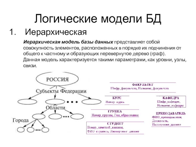 Логическая модель базы данных иерархическая. Логическая модель модель базы данных. Иерархическая логическа модуль. Логическое моделирование базы данных.