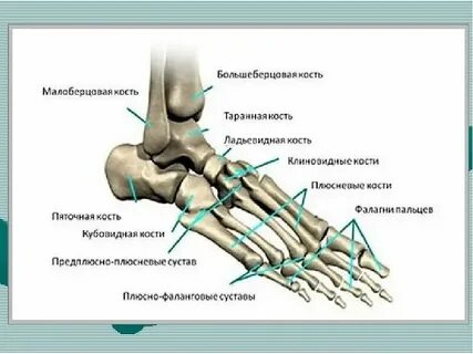 Перелом кости стопы симптомы