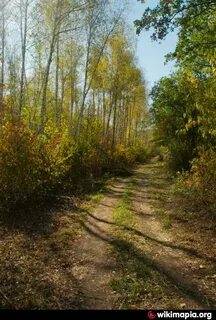 Щепкинский лес ростов на дону прокат велосипедов