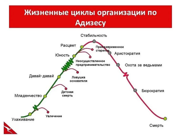 Книга жизненные циклы. Стадии жизненного цикла фирмы. Адизес Ицхак жизненныйиццикл. Жизненный цикл организации Адизеса. Ицхак Адизес жизненный цикл организации.