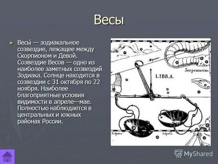 Миф о созвездии весы