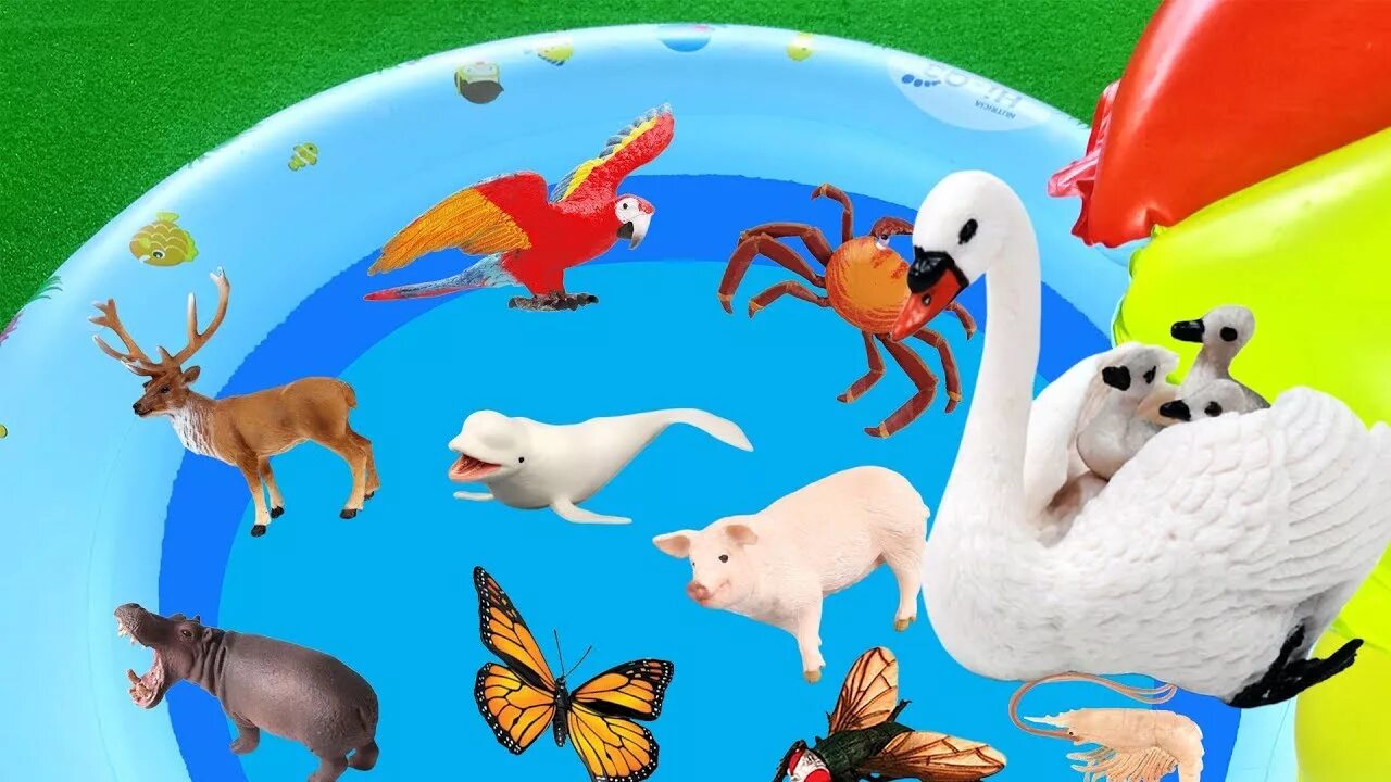 Kids box wild animals. Игрушки Wild animals for Kids. Animals for Kids learn animal names игрушки. Animal for Kids learn Toys. Safari Sea animals.