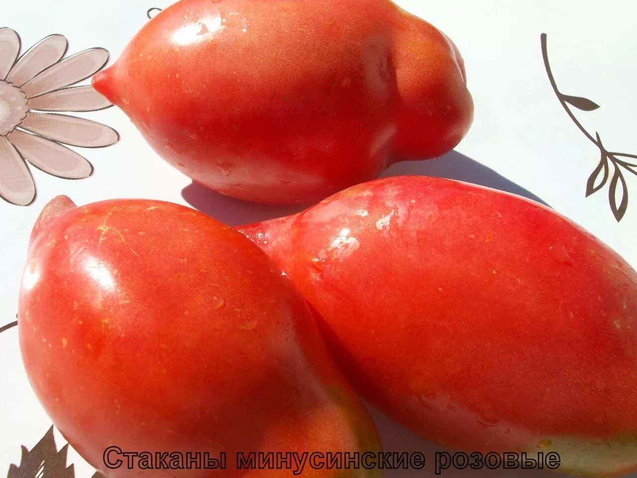 Томат минусинские стаканы розовые. Томат минусинские стаканы описание сорта отзывы. Томат минусинские стаканы описание сорта отзывы. Томат минусинские стаканы. Томат минусинские стаканы мязина.