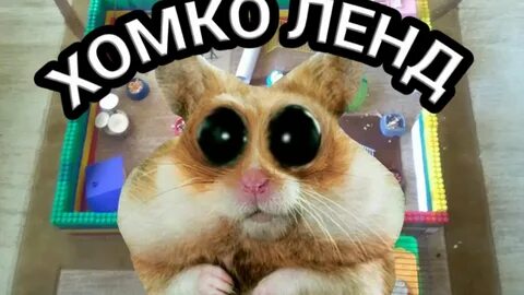 Алиса хомка