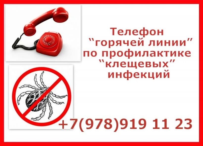Мтс пермь телефоны горячей линии. Мтс пермь телефоны горячей линии
