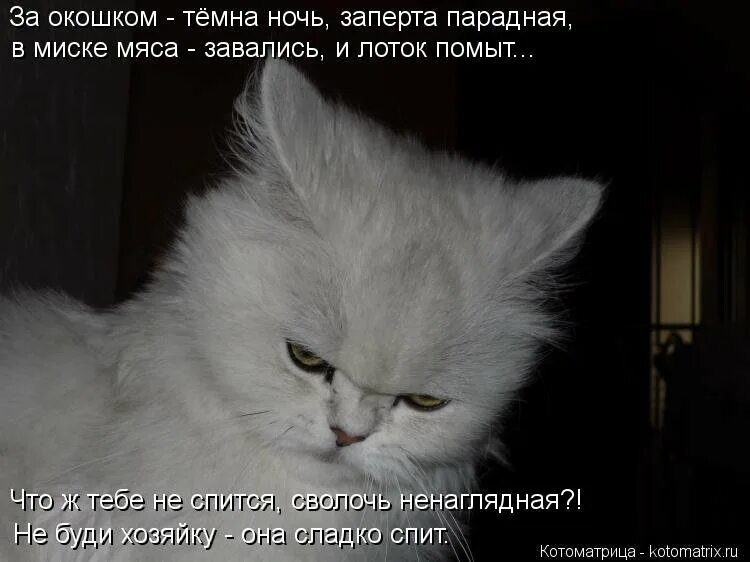 Не спится ночью как пишется. Не спится не спится. тебе не спится. не спится стихи. кому не спится в ночь.