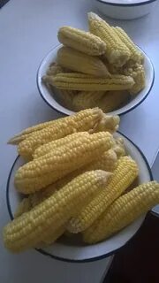 Самая вкусная кукуруза