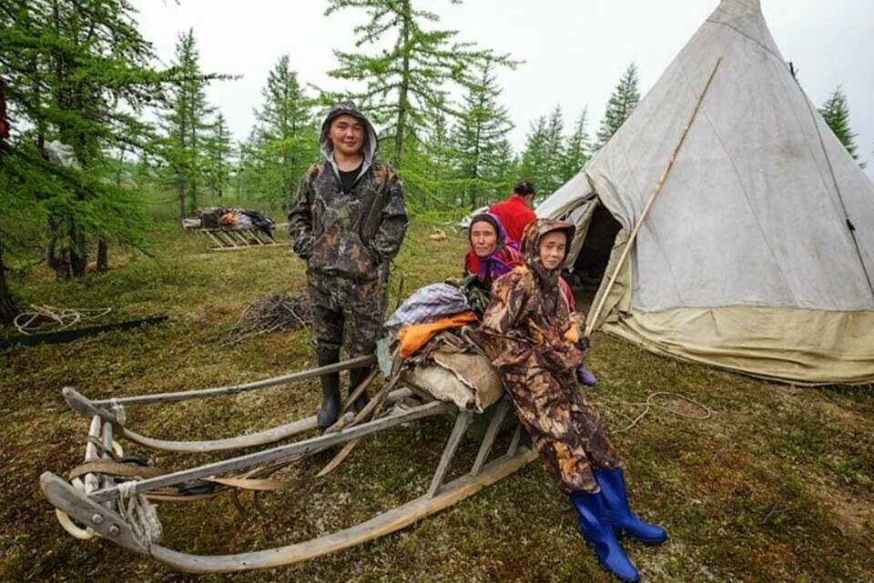 (Ненцы, Ханты, манси, селькупы. Ханты и манси в тайге. Ханты ненцы селькупы. Селькупы оленеводы.