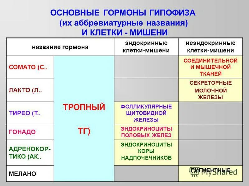 Название желез гормоны гиперфункция гипофункция таблица Нервная и эндокринная системы. Вопросы подготовки к ЕГЭ