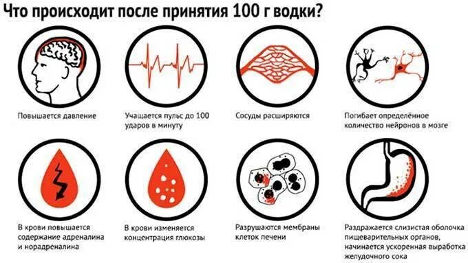 Сбить давление алкоголем. Как алкоголь влияет на давление. повышение артериального давления при алкоголе. алкоголь повышает давление или снижает. при принятии алкоголя понижается давление.